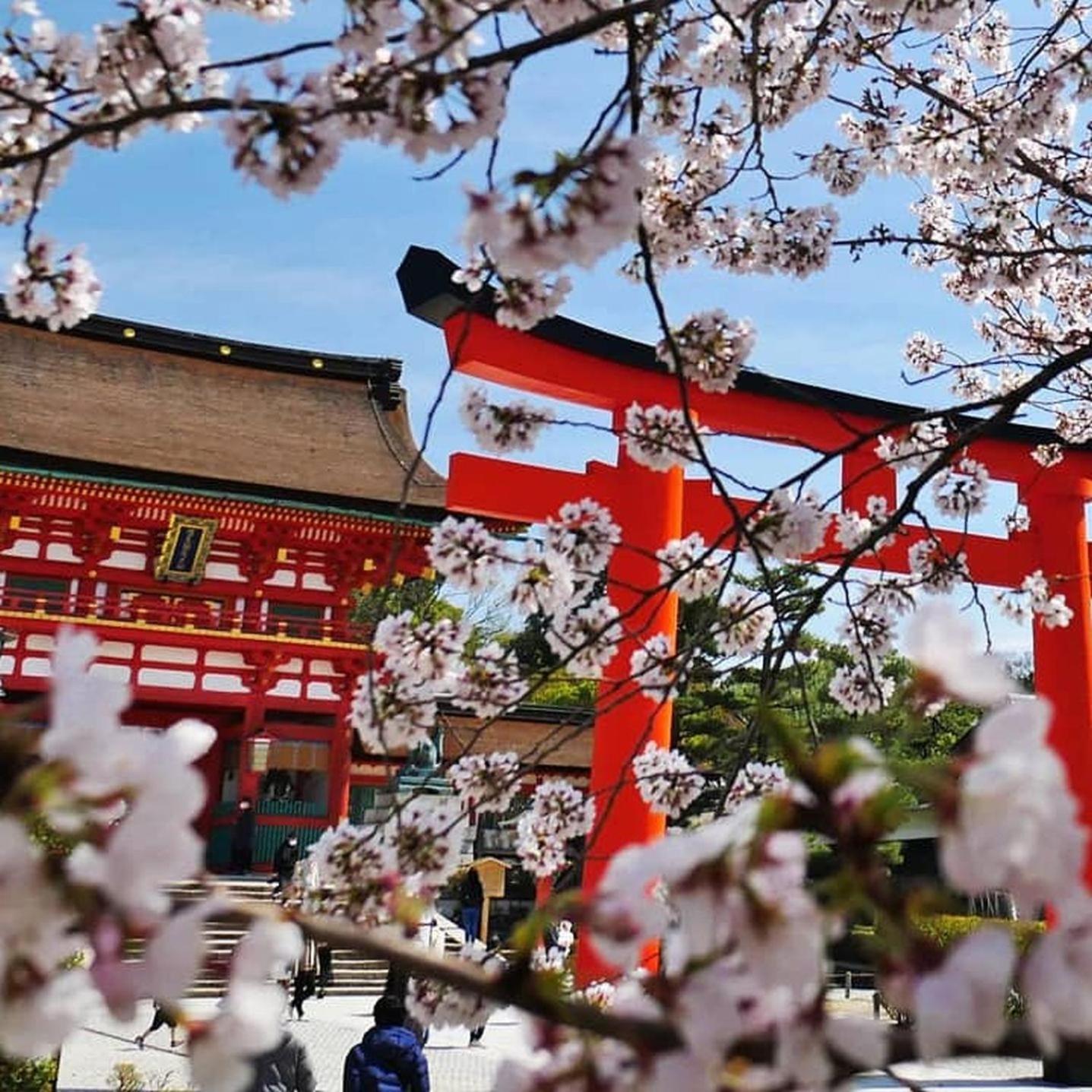 Kyoto Jujo 01 Διαμέρισμα Εξωτερικό φωτογραφία